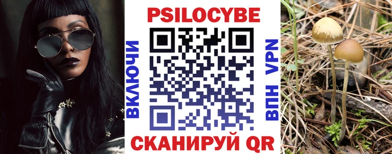 Галлюциногенные грибы мухоморы  Купить  Свободный 